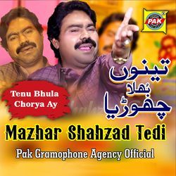 Tenu Bhula Chorya Ay