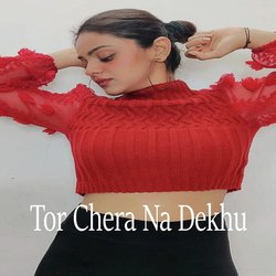 Tor Chera Na Dekhu-QSVceAJnZWQ