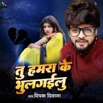 Tu Hamra Ke Bhul Gailu