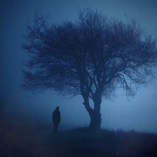 lullaby cover art