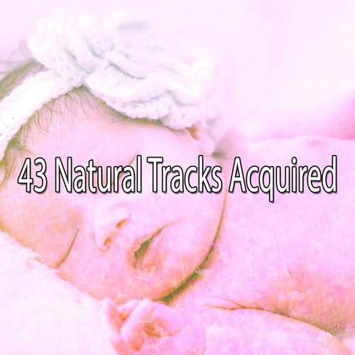 43 Natural Tracks Acquired