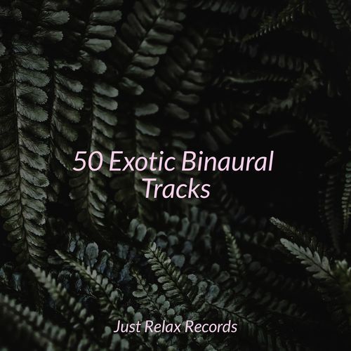 Melodic Landscapes cover art