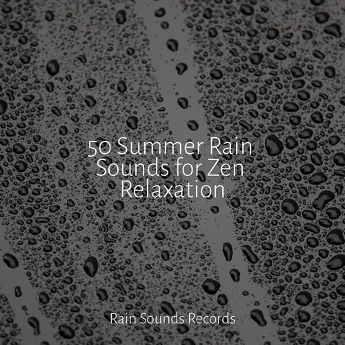 50 Summer Rain Sounds for Zen Relaxation_poster_image