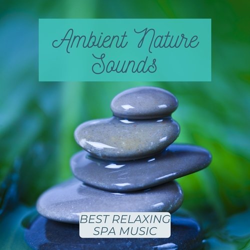 Ambient Nature Sounds - Best Relaxing Spa Music