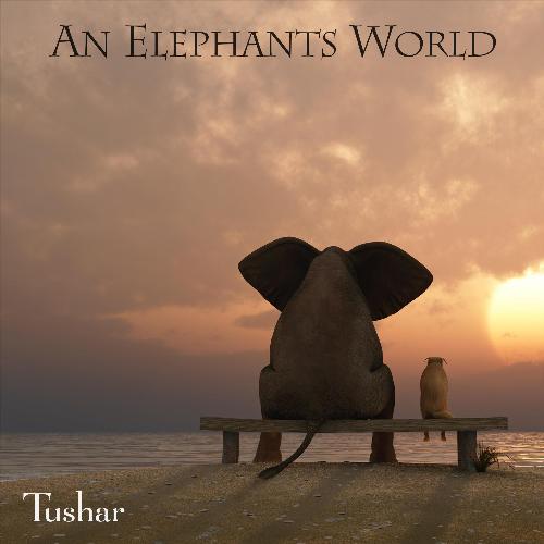An Elephants World