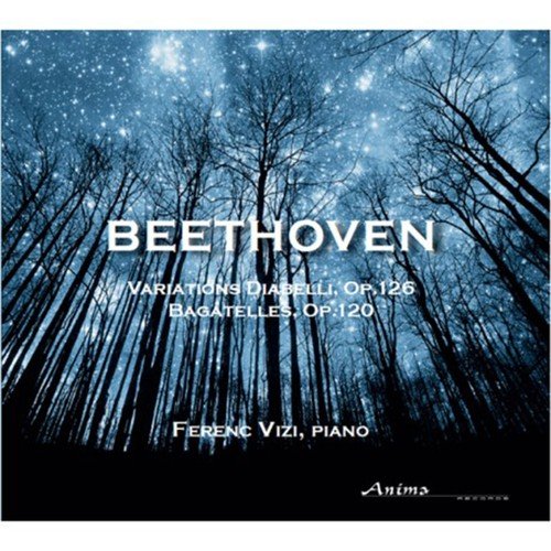 Variations Diabelli, Op. 120: Variation XXI. Allegro con brio - Meno allegro - Tempo primo