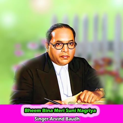 Bheem Bina Meri Suni Nagriya