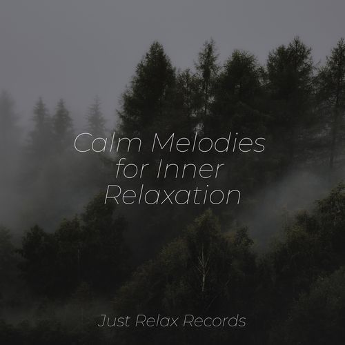 Calm Melodies for Inner Relaxation