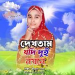 Dektam Jodi Dui Noyone