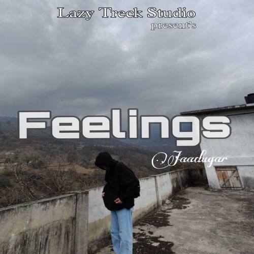 Feelings