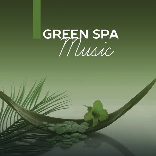 Relaxing Spa Sounds cover art