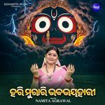 Hari Murari Bhababhaya Haari