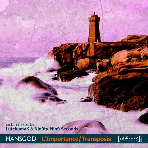 Transposis (LutchamaK Remix) cover art