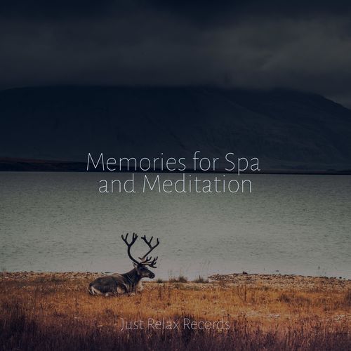 Memories for Spa and Meditation_poster_image