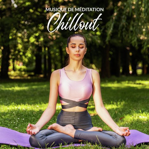 Musique de Méditation Chillout: Chansons de Yoga, Séance de Méditation de Guérison, Salon Zen, Musique d'Ambiance Relaxante, Mélodies Soulageant le Stress