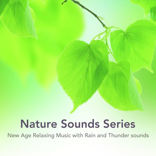 Relaxing Rock cover art