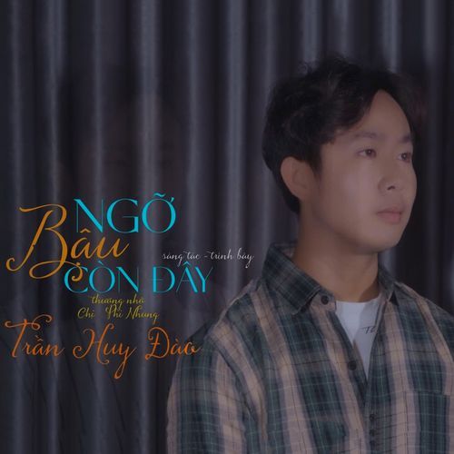Ngỡ Bậu Còn Đây, Thương Nhớ Chị Phi Nhung cover art