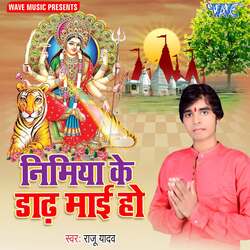 Nimiya Ke Dadh Mai Ho