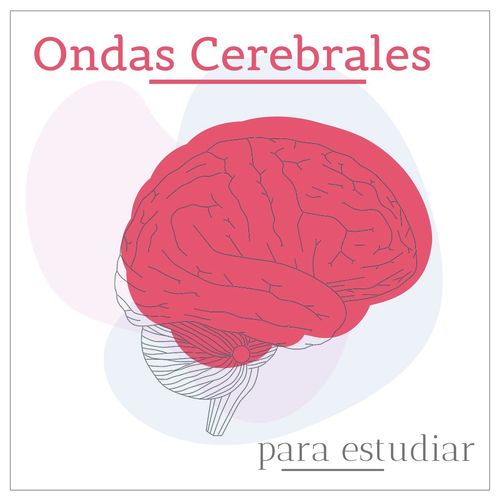 Ondas Cerebrales para Estudiar: Potenciar el Poder del Cerebro, la Memoria y la Concentración