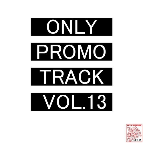 Only Promo Track, Vol. 13