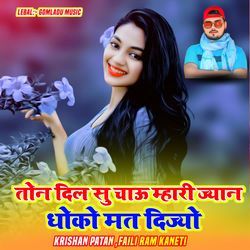 तोन दिल सु चाऊ म्हारी ज्यान धोको मत दिज्यो