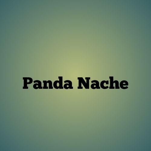 Panda Nache