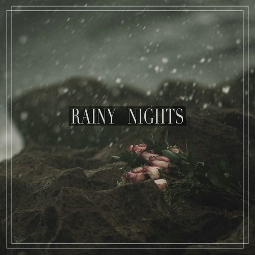 Rainy Nights