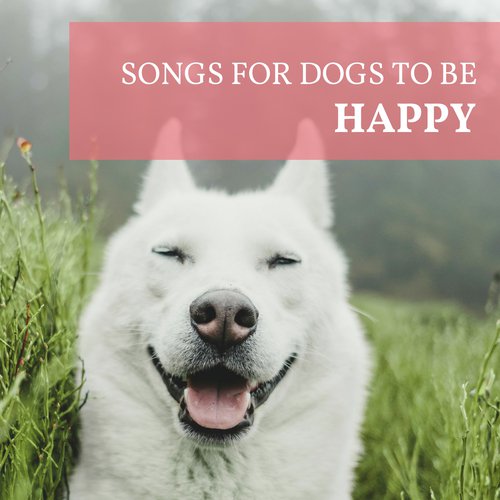 Songs for Dogs to be Happy - Calm Down Nervous Dogs, Relieve Anxiety & Stress from Separation