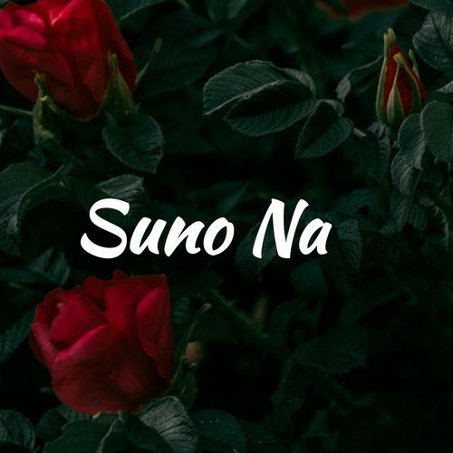 Suno Na