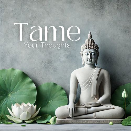 Tame Your Thoughts: Buddhist Wisdom for Mindful Living_poster_image