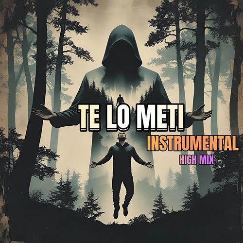 Te Lo Meti (High Instrumental)
