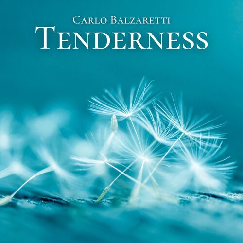 Tenderness_poster_image