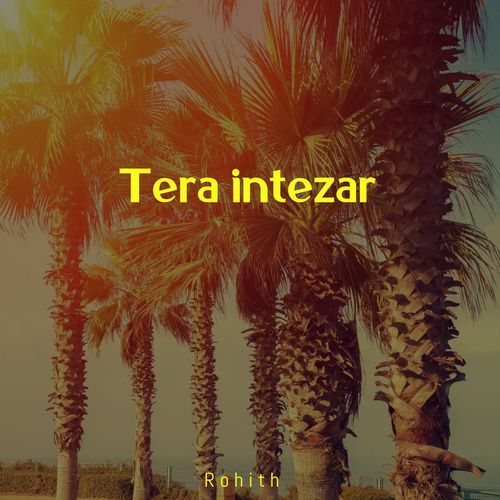 Tera Intezar