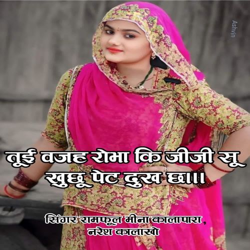 Tui Vajah Robha Ki Jiji Su Khuchu Pet Dukh Ch