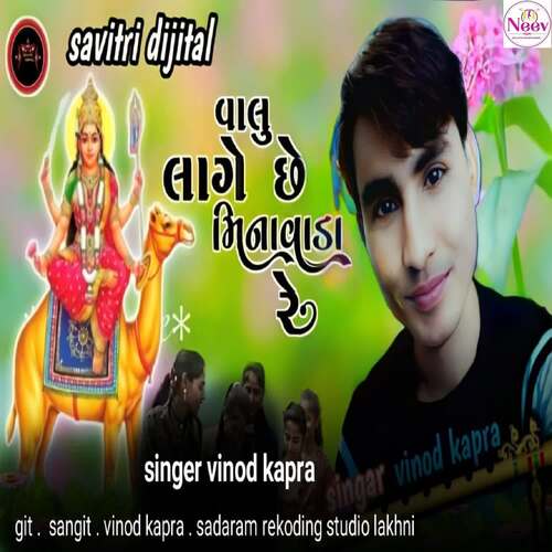 Valu Lage Chhe Minavada Re