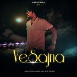 Ve Sajna-ISIBYEd-cX8