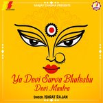Ya Devi Sarva Bhuteshu Devi Mantra