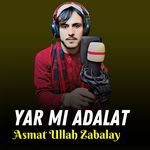 Yar Mi Adalat