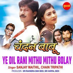 Ye Dil Rani Mithu Mithu Bolay