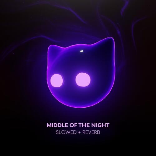 middle of the night_poster_image