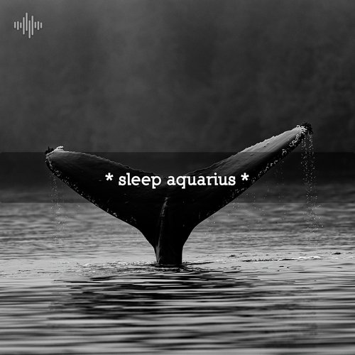 Water Soundscapes Zen cover art