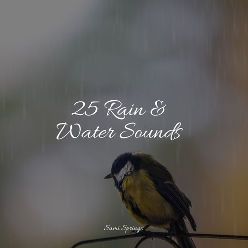 Ocean, Waves, Medium, Foam cover art