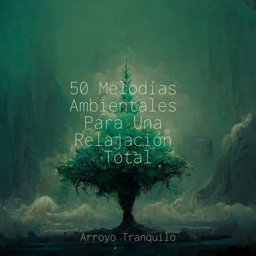 50 Melodías Ambientales Para Una Relajación Total