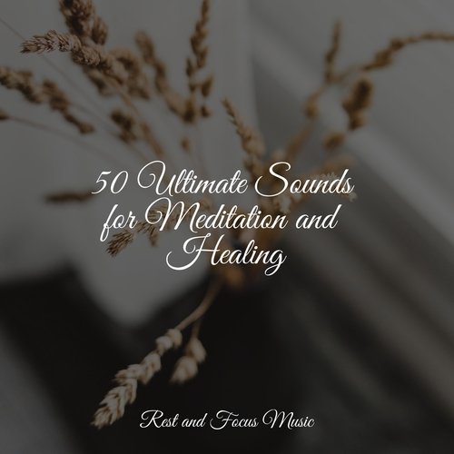 50 Ultimate Sounds for Meditation and Healing