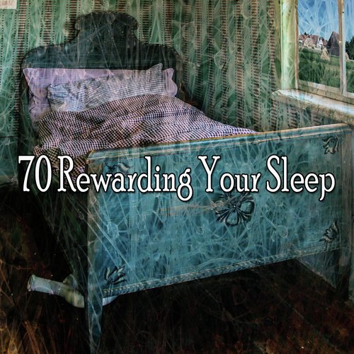 70 Rewarding Your Sleep_poster_image