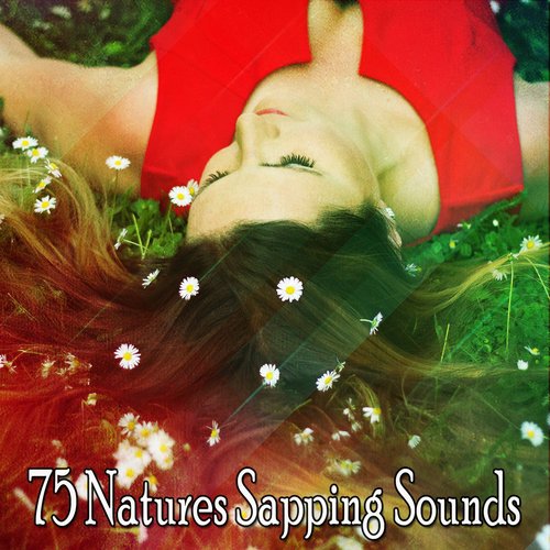75 Natures Sapping Sounds