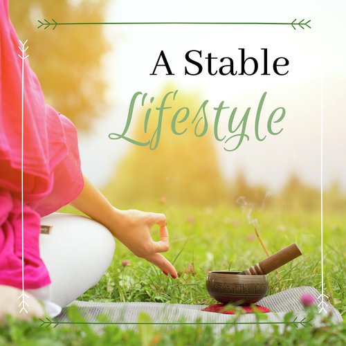 a-stable-lifestyle-songs-download-free-online-songs-jiosaavn