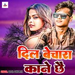 Dil Bechara Kanai Chhai