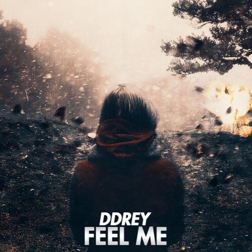 Feel Me_poster_image