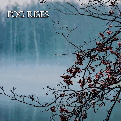 Fog Rises